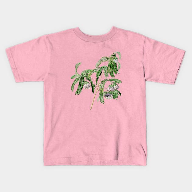 Vintage Spaendoncea Tamarandifolia Botanical Illustration Kids T-Shirt by Holy Rock Design